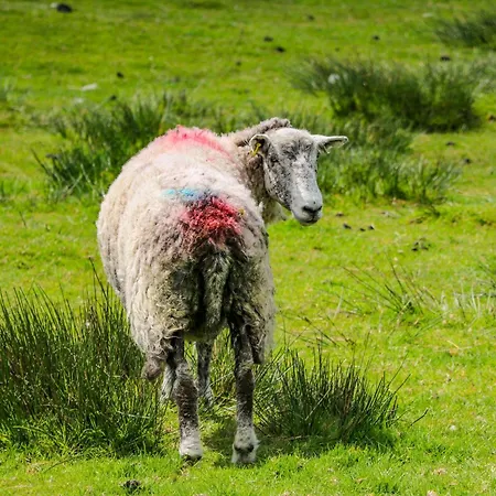 Thrang View Casa de Férias *